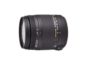 SIGMA（シグマ） APO 50-500mm F4.5-6.3 DG OS HSM 超望遠ズームレンズ 