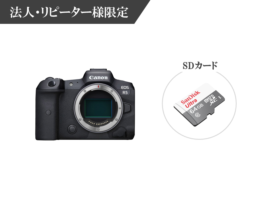 キヤノン 【 極美品 】Canon EOS R5 ボディー フルサイズ ミラーレス キヤノン [管CN3291]