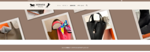 Hermes Everyday 